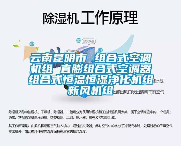 云南昆明市 組合式空調(diào)機組 直膨組合式空調(diào)器組合式恒溫恒濕凈化機組新風機組