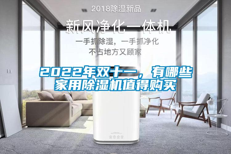 2022年雙十一，有哪些家用除濕機(jī)值得購買