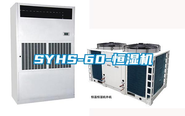 SYHS-60-恒濕機(jī)