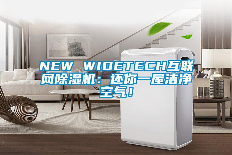 NEW WIDETECH互聯(lián)網(wǎng)除濕機(jī)：還你一屋潔凈空氣！