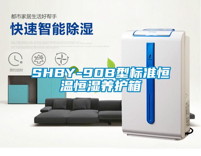 SHBY-90B型標準恒溫恒濕養(yǎng)護箱