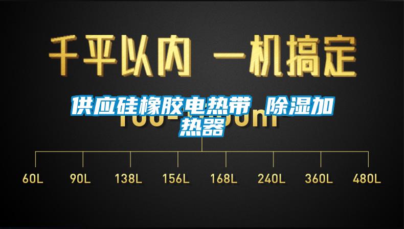 供應(yīng)硅橡膠電熱帶 除濕加熱器