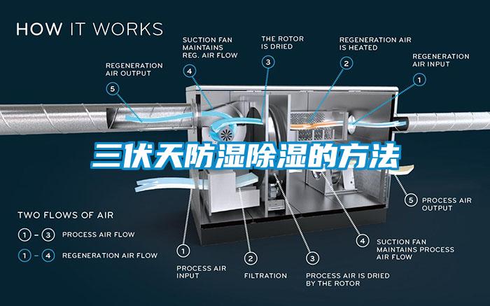 三伏天防濕除濕的方法