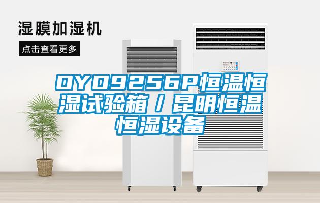 OYO9256P恒溫恒濕試驗(yàn)箱／昆明恒溫恒濕設(shè)備