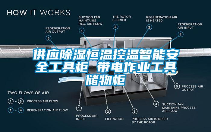 供應(yīng)除濕恒溫控溫智能安全工具柜 帶電作業(yè)工具儲物柜