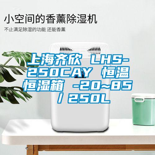 上海齊欣 LHS-250CAY 恒溫恒濕箱 -20~85℃／250L