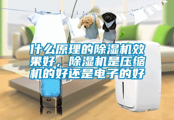 什么原理的除濕機(jī)效果好，除濕機(jī)是壓縮機(jī)的好還是電子的好