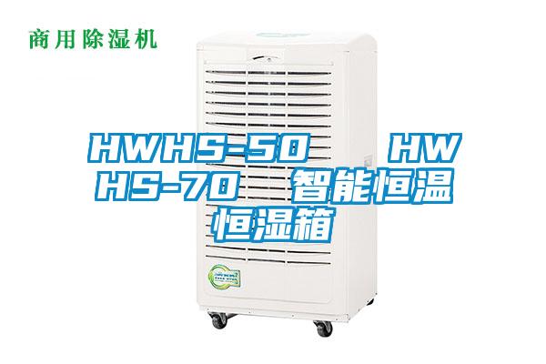 HWHS-50   HWHS-70  智能恒溫恒濕箱