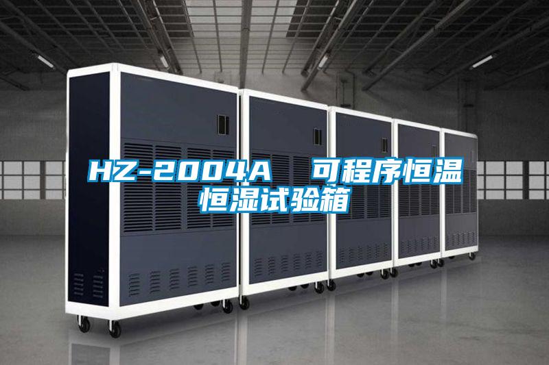 HZ-2004A  可程序恒溫恒濕試驗(yàn)箱