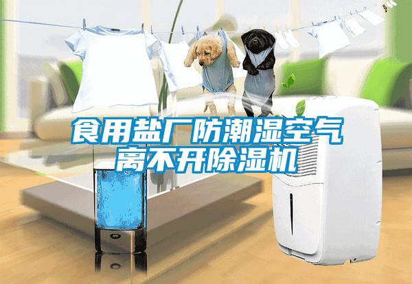 食用鹽廠防潮濕空氣離不開除濕機(jī)