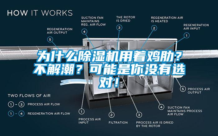 為什么除濕機(jī)用著雞肋？不解潮？可能是你沒有選對(duì)！