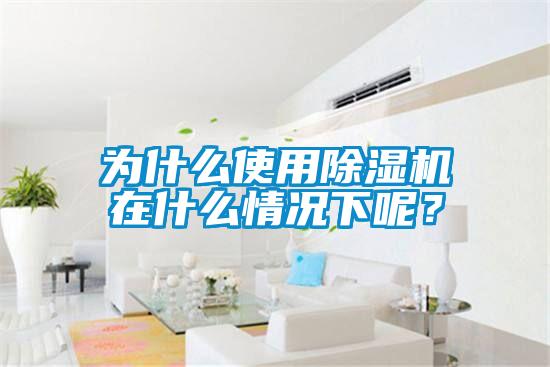 為什么使用除濕機(jī)在什么情況下呢？