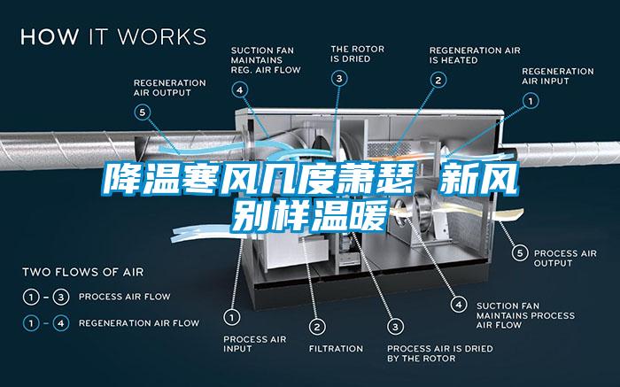 降溫寒風(fēng)幾度蕭瑟 新風(fēng)別樣溫暖