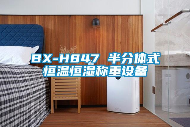 BX-H847 半分體式恒溫恒濕稱重設備