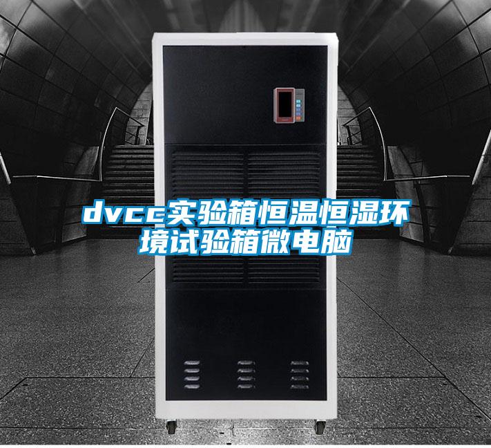 dvcc實(shí)驗(yàn)箱恒溫恒濕環(huán)境試驗(yàn)箱微電腦