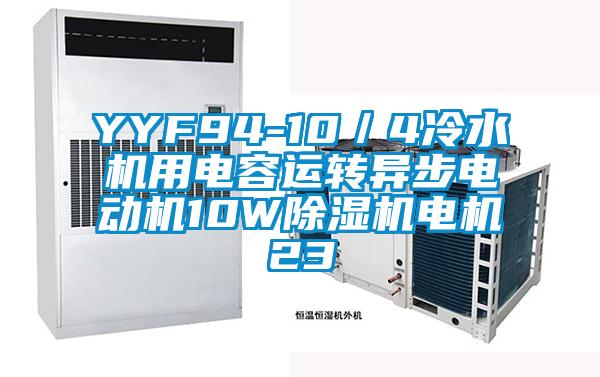 YYF94-10／4冷水機用電容運轉(zhuǎn)異步電動機10W除濕機電機23