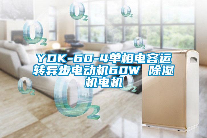 YDK-60-4單相電容運(yùn)轉(zhuǎn)異步電動(dòng)機(jī)60W 除濕機(jī)電機(jī)