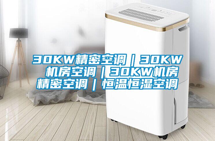 30KW精密空調｜30KW 機房空調｜30KW機房精密空調｜恒溫恒濕空調