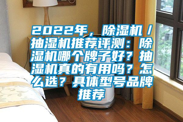 2022年，除濕機(jī)／抽濕機(jī)推薦評測：除濕機(jī)哪個(gè)牌子好？抽濕機(jī)真的有用嗎？怎么選？具體型號品牌推薦