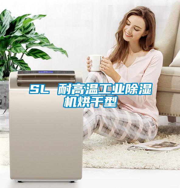 SL 耐高溫工業(yè)除濕機烘干型