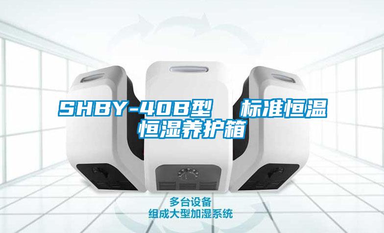 SHBY-40B型  標(biāo)準(zhǔn)恒溫恒濕養(yǎng)護(hù)箱