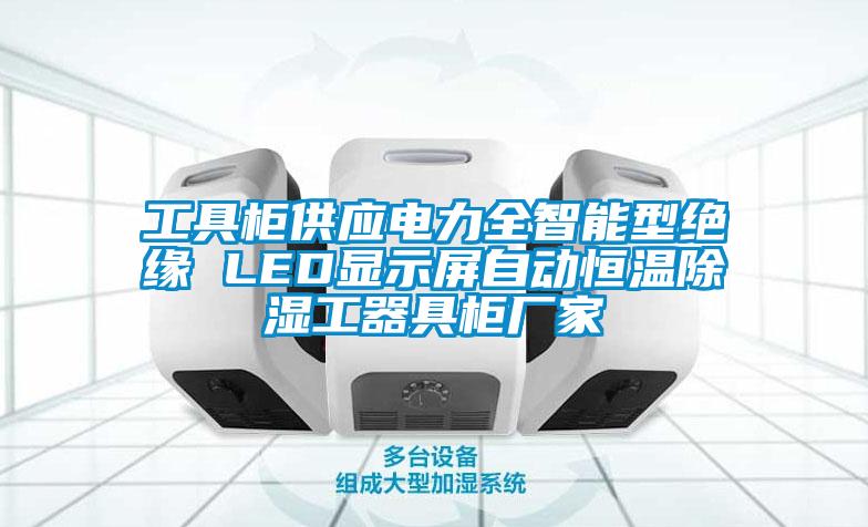 工具柜供應(yīng)電力全智能型絕緣 LED顯示屏自動(dòng)恒溫除濕工器具柜廠家