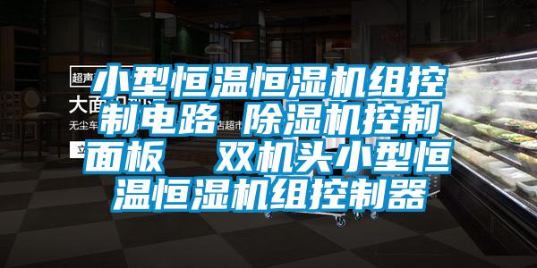 小型恒溫恒濕機(jī)組控制電路 除濕機(jī)控制面板  雙機(jī)頭小型恒溫恒濕機(jī)組控制器