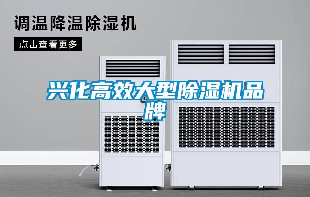 興化高效大型除濕機(jī)品牌