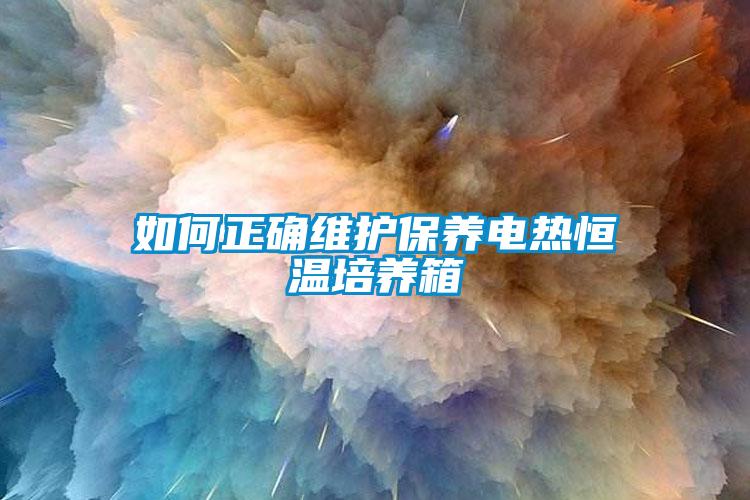 如何正確維護保養(yǎng)電熱恒溫培養(yǎng)箱