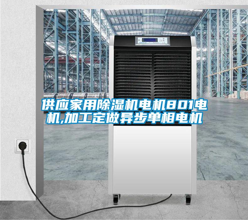 供應(yīng)家用除濕機(jī)電機(jī)801電機(jī),加工定做異步單相電機(jī)