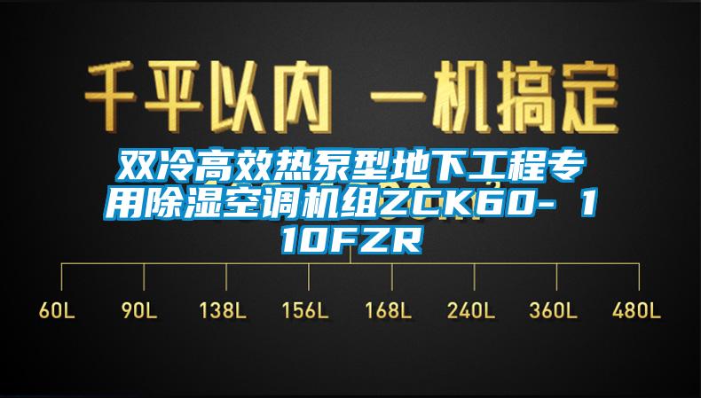 雙冷高效熱泵型地下工程專用除濕空調(diào)機組ZCK60- 110FZR