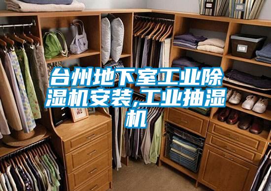 臺(tái)州地下室工業(yè)除濕機(jī)安裝,工業(yè)抽濕機(jī)