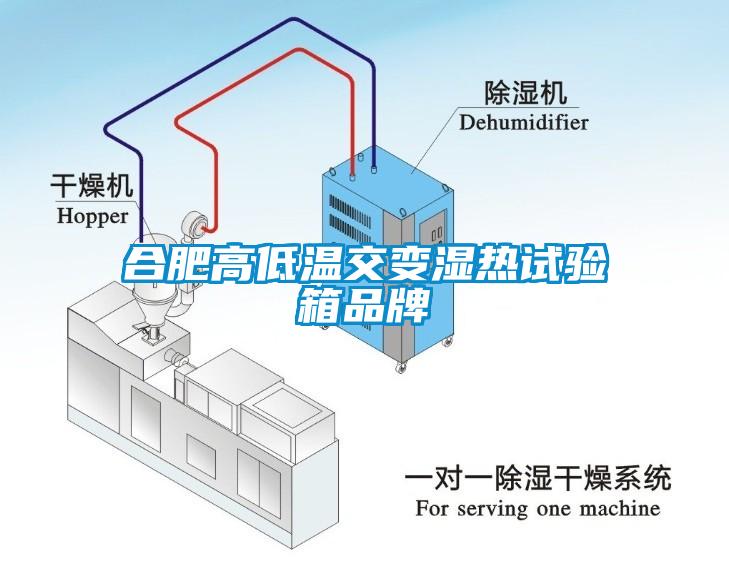 合肥高低溫交變濕熱試驗(yàn)箱品牌