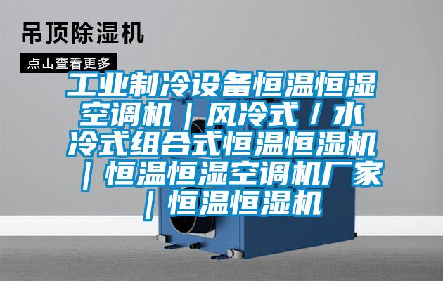 工業(yè)制冷設(shè)備恒溫恒濕空調(diào)機｜風(fēng)冷式／水冷式組合式恒溫恒濕機｜恒溫恒濕空調(diào)機廠家｜恒溫恒濕機