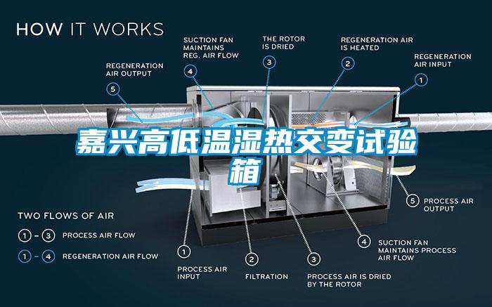 嘉興高低溫濕熱交變試驗箱