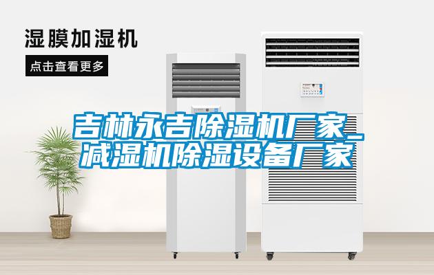 吉林永吉除濕機(jī)廠家_減濕機(jī)除濕設(shè)備廠家