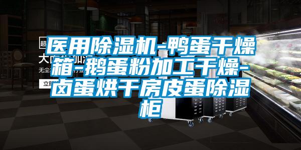 醫(yī)用除濕機(jī)-鴨蛋干燥箱-鵝蛋粉加工干燥-鹵蛋烘干房皮蛋除濕柜