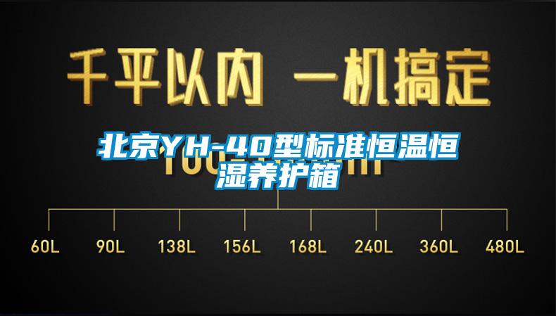 北京YH-40型標(biāo)準(zhǔn)恒溫恒濕養(yǎng)護(hù)箱