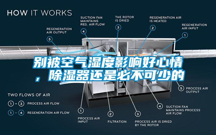 別被空氣濕度影響好心情，除濕器還是必不可少的