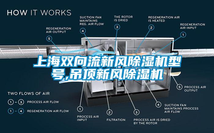 上海雙向流新風除濕機型號,吊頂新風除濕機