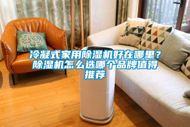 冷凝式家用除濕機好在哪里？除濕機怎么選哪個品牌值得推薦