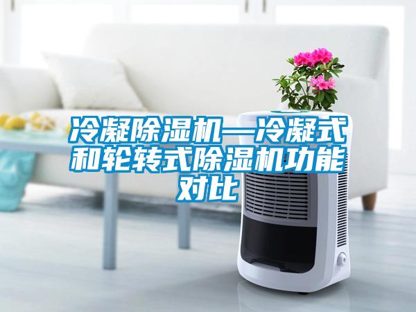 冷凝除濕機—冷凝式和輪轉(zhuǎn)式除濕機功能對比