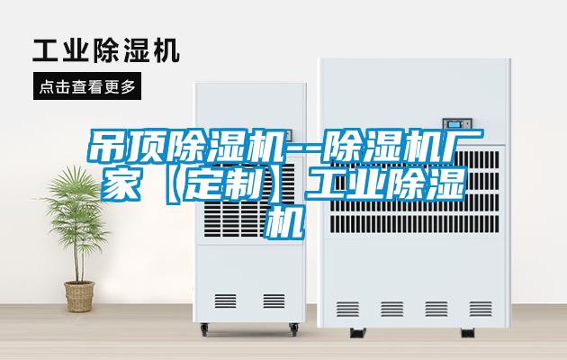 吊頂除濕機--除濕機廠家【定制】工業(yè)除濕機