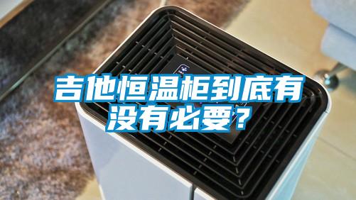 吉他恒溫柜到底有沒(méi)有必要？