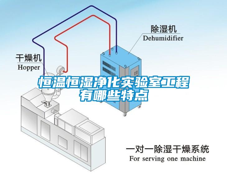 恒溫恒濕凈化實(shí)驗(yàn)室工程有哪些特點(diǎn)