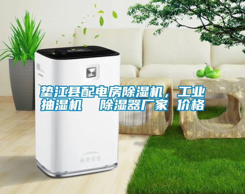 墊江縣配電房除濕機(jī)，工業(yè)抽濕機(jī)  除濕器廠家 價(jià)格