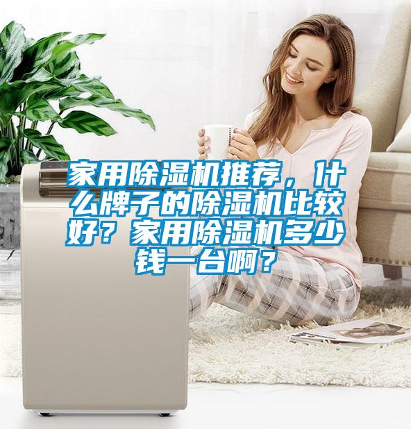 家用除濕機推薦，什么牌子的除濕機比較好？家用除濕機多少錢一臺??？