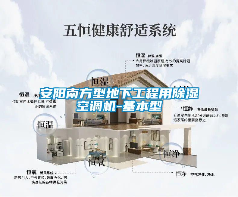 安陽南方型地下工程用除濕空調(diào)機(jī)-基本型