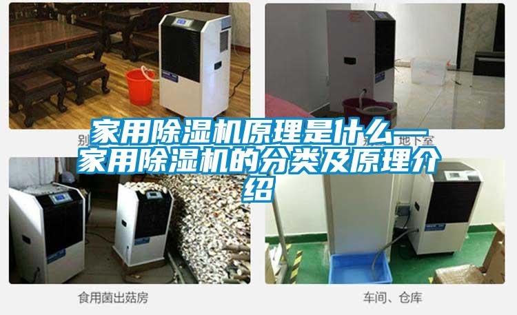 家用除濕機原理是什么—家用除濕機的分類及原理介紹