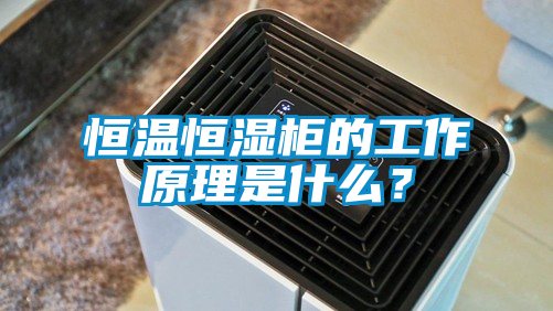 恒溫恒濕柜的工作原理是什么？